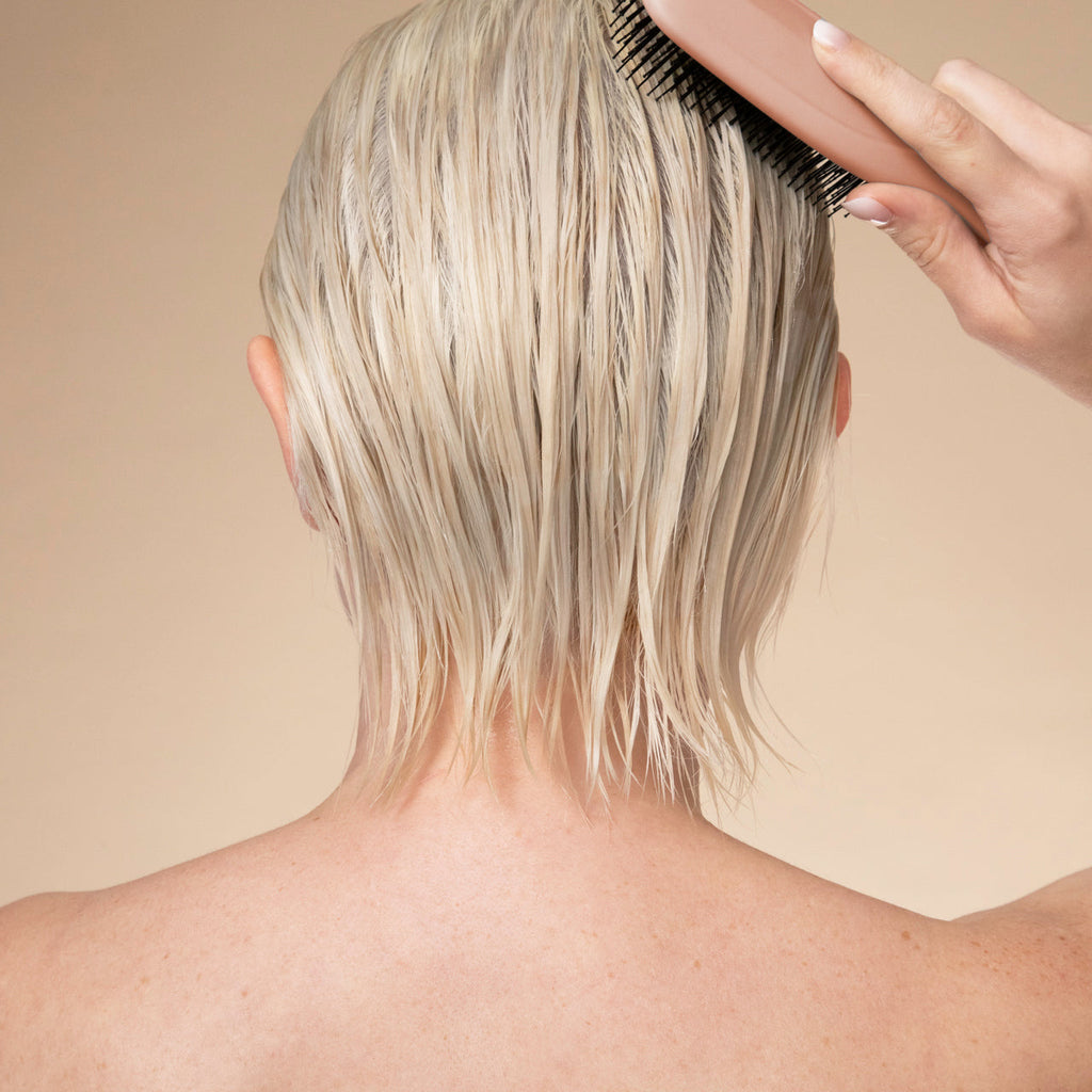 Scalp Renewal Brush in Terracotta - Curated Collection