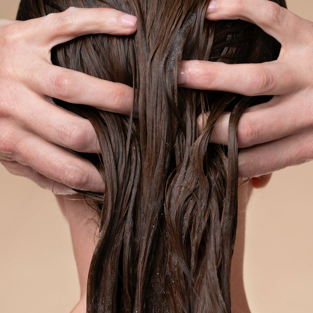 Rosemary and Biotin Volumizing Conditioner - Curated Collection