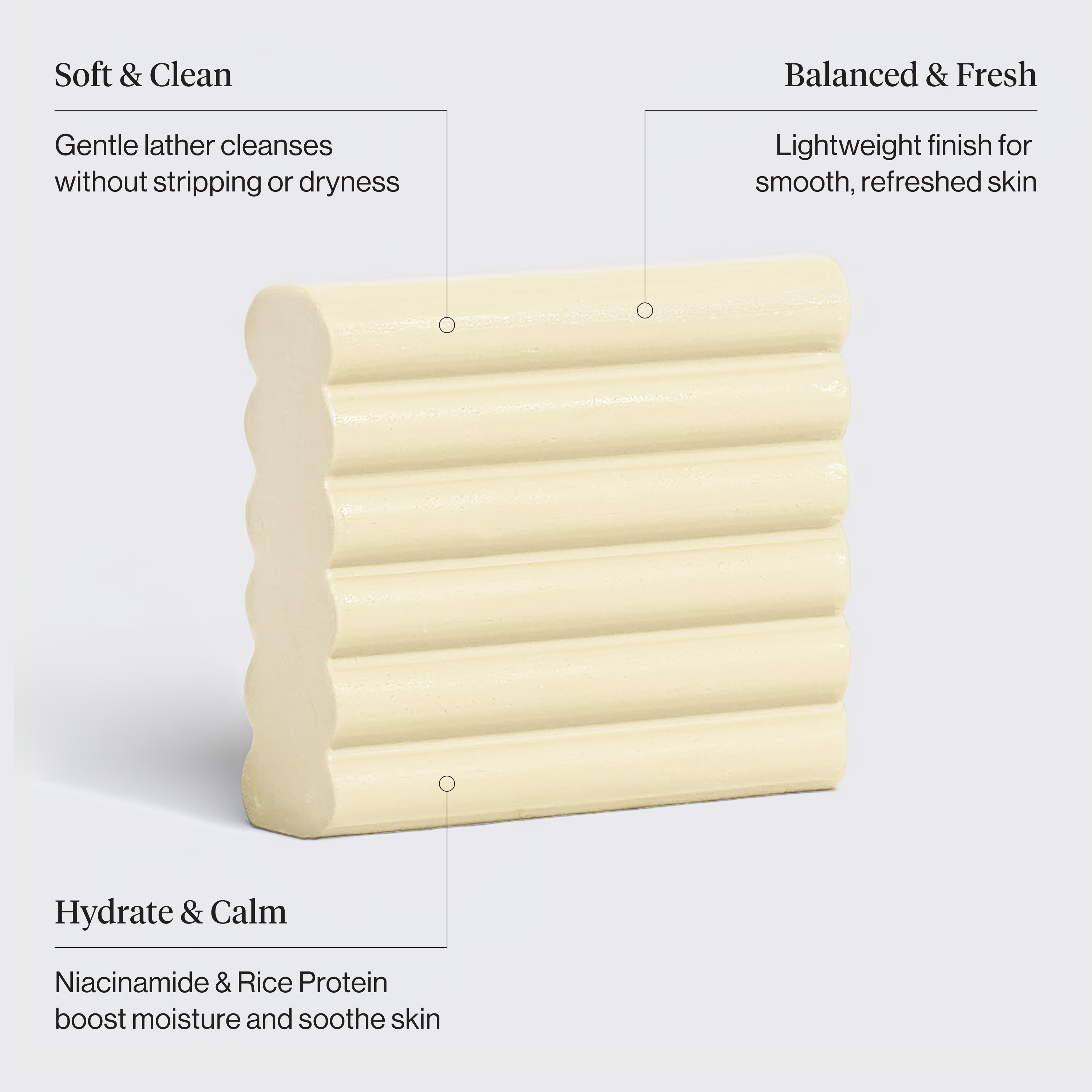 Rice Water Protein Restoring Face and Body Wash Bar - Everyday Essentials