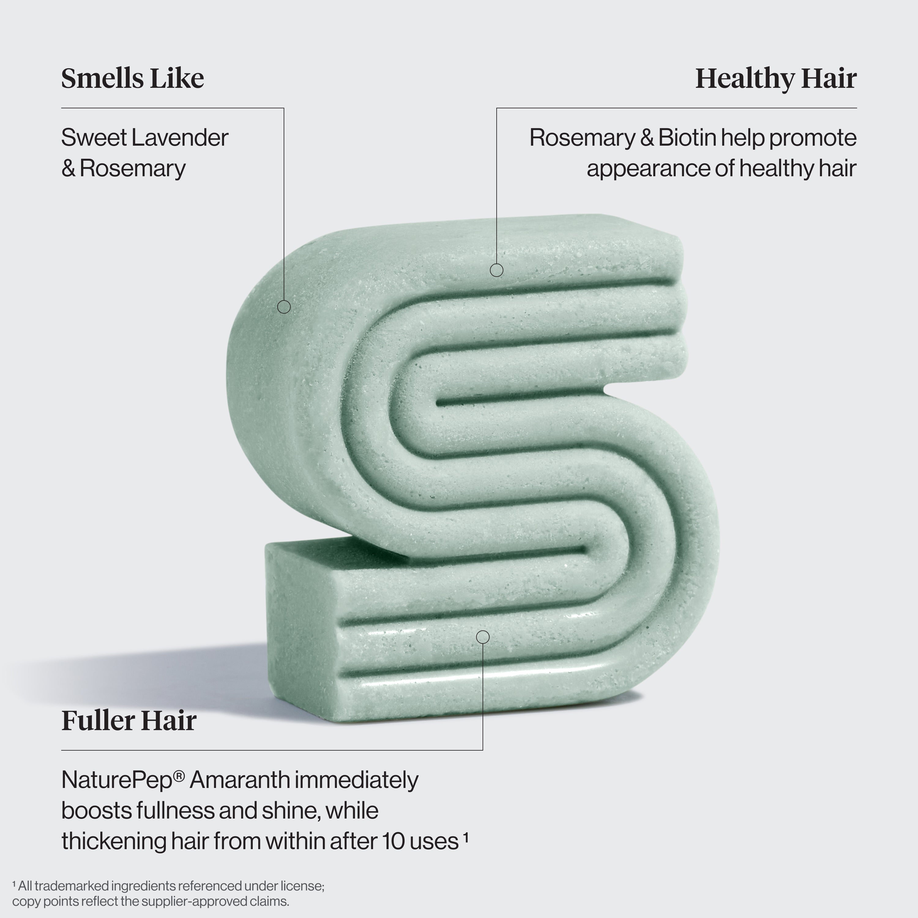 Rosemary and Biotin Trio - Curated Collection