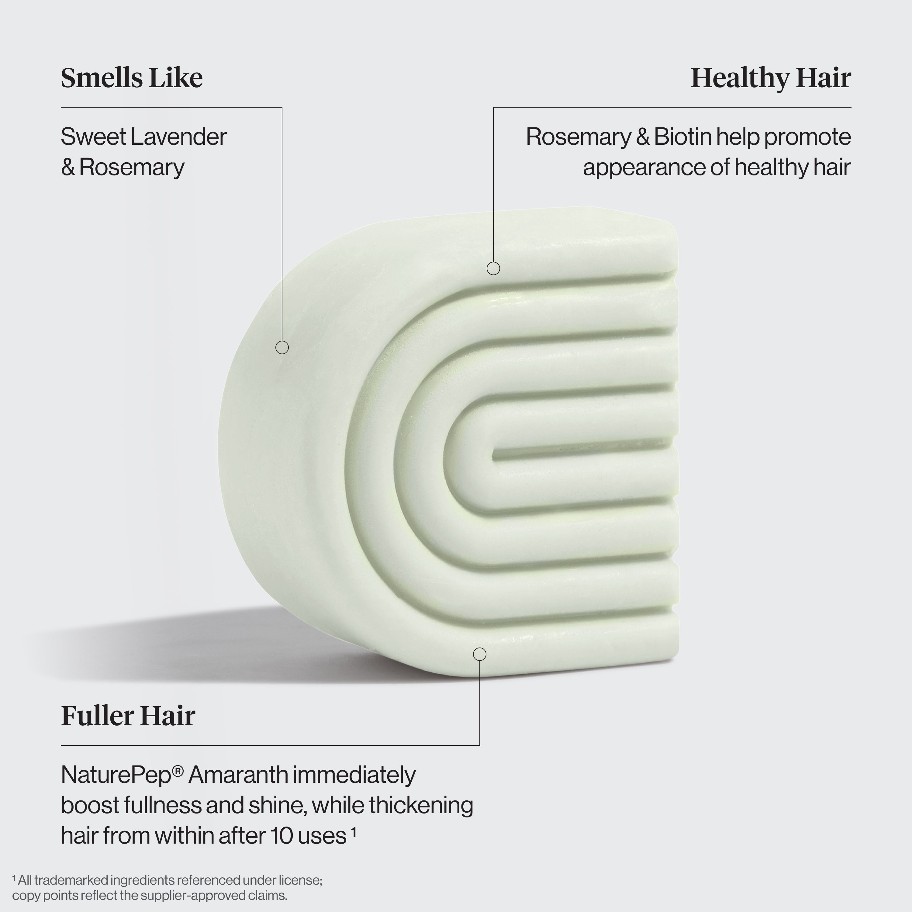 Rosemary and Biotin Trio - Curated Collection