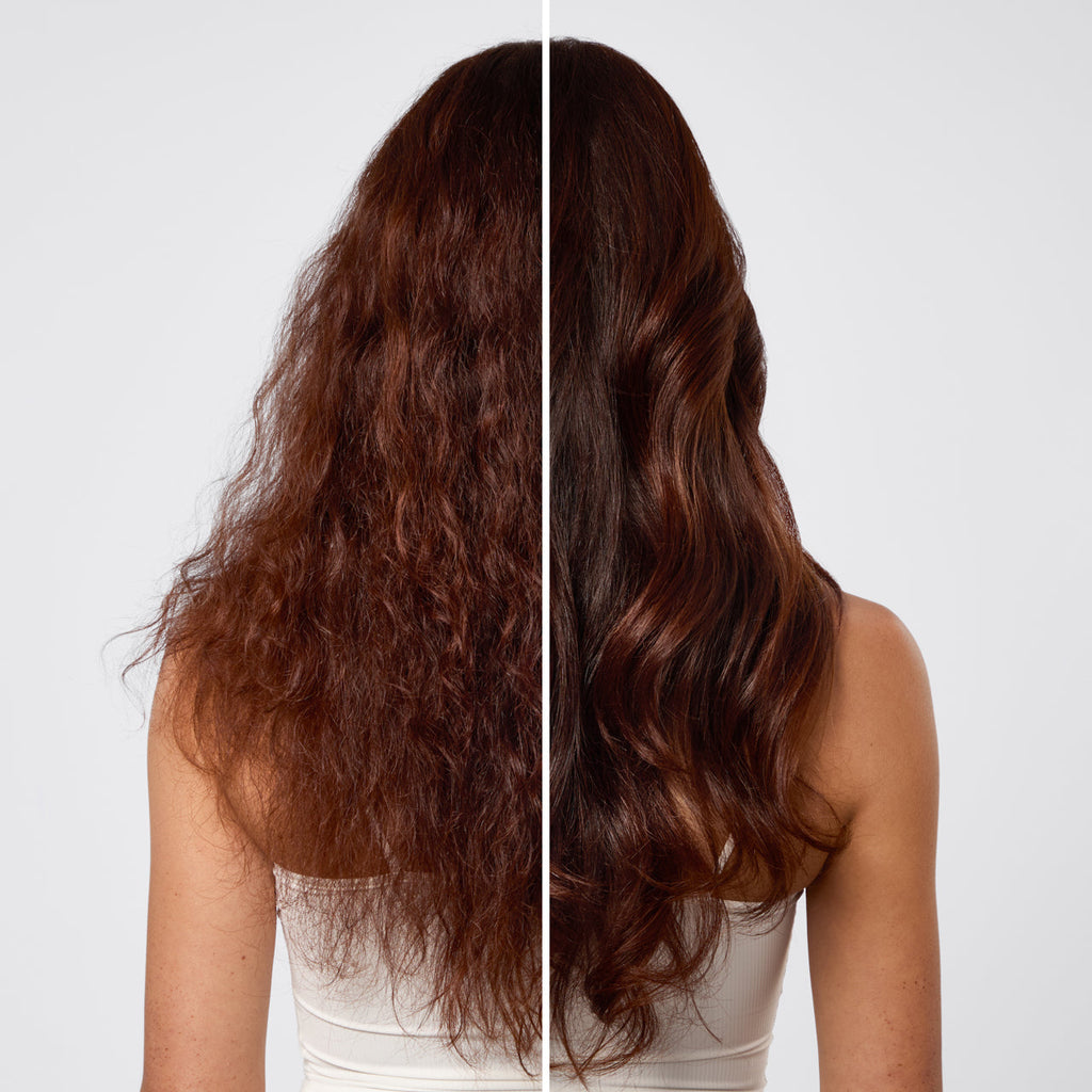 Repairing Argan Oil Shampoo and Conditioner Bar Combo - Everyday Essentials