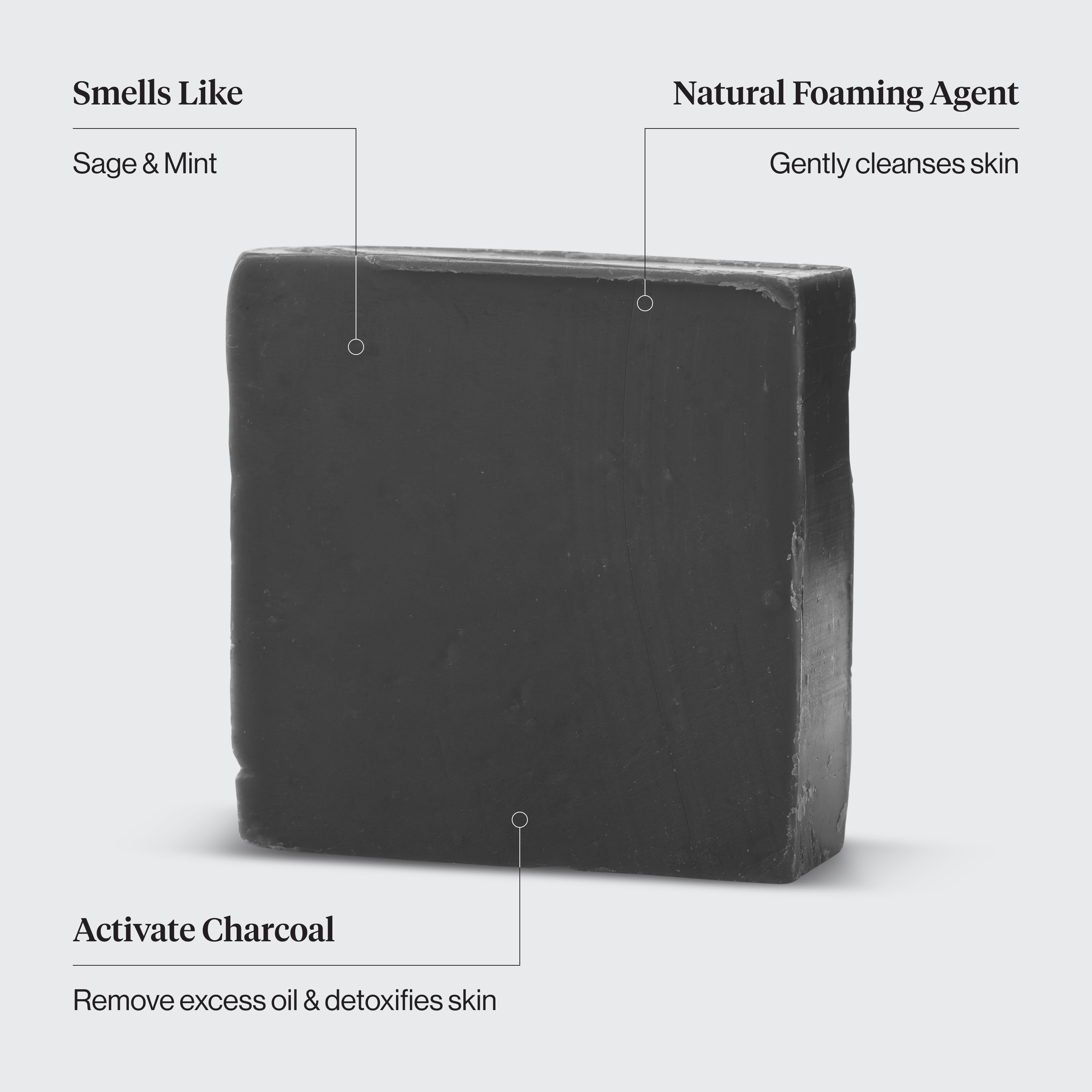 Charcoal Detoxifying Solid Body Wash - Curated Collection