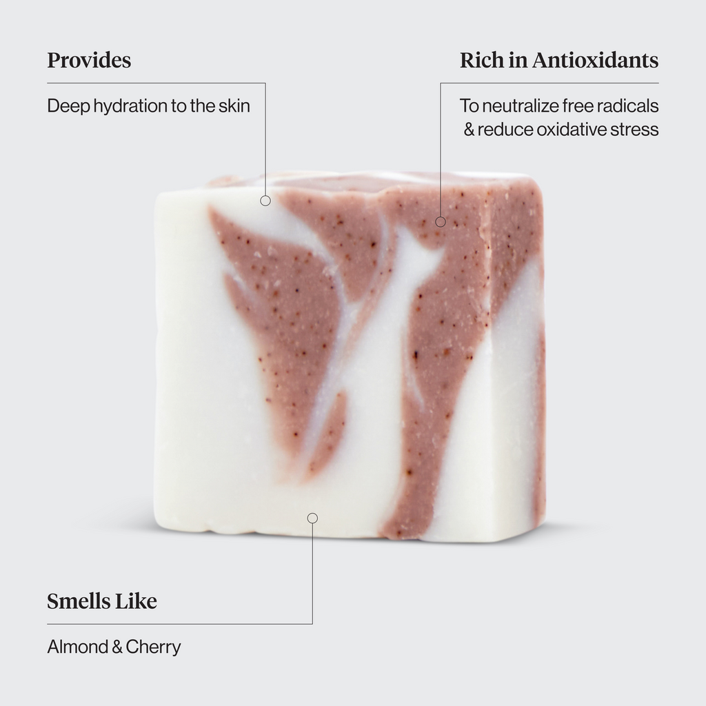 Volumizing Rosemary Terracotta Self Draining Soap Dish Bundle - Curated Collection