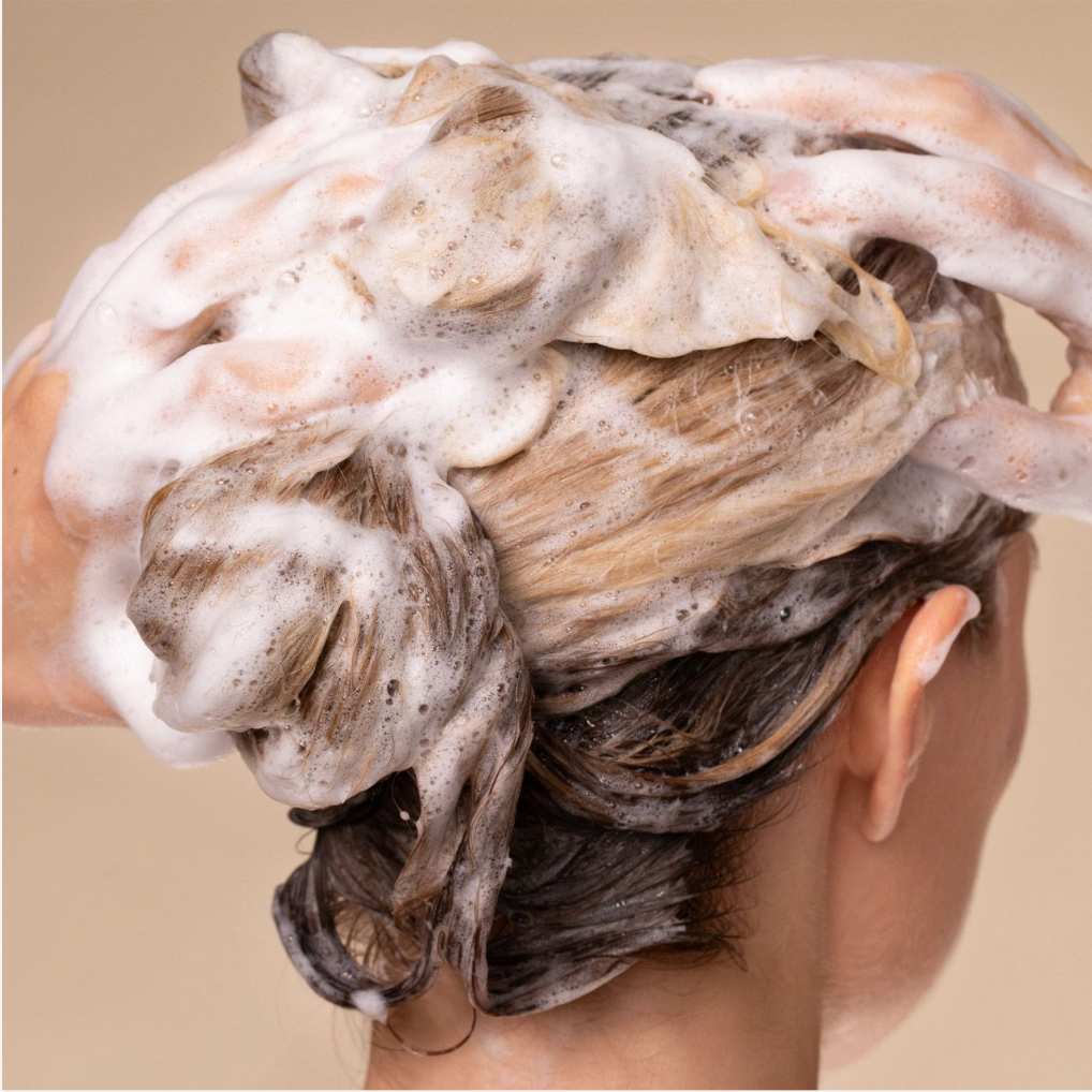 Repairing Argan Oil Shampoo - Everyday Essentials