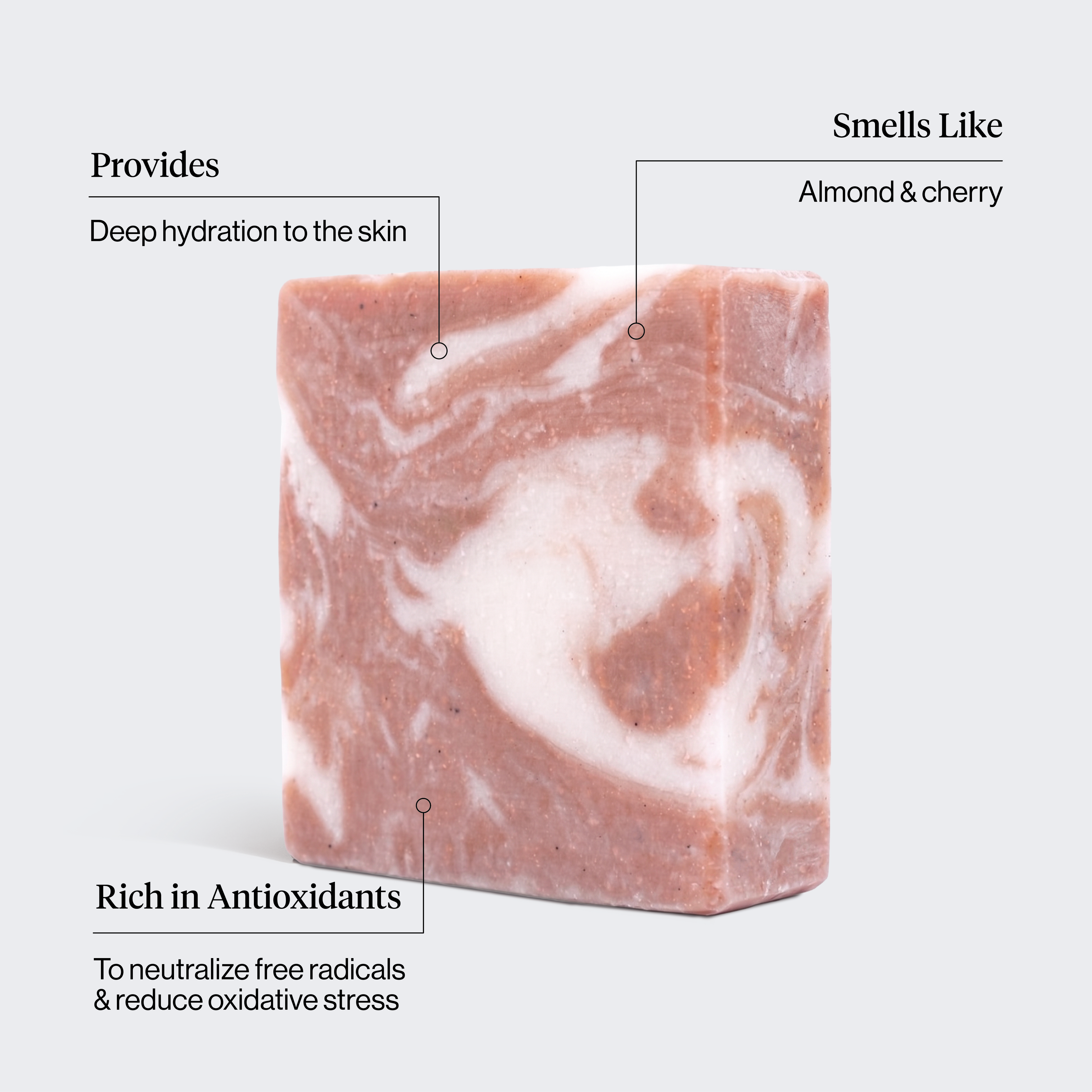 Shea Butter Exfoliating Body Wash - Signature Selection